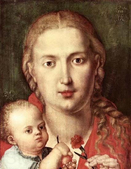 Albrecht Durer The Madonna of the Carnation Norge oil painting art
